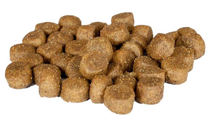 Muster dog optima athletica